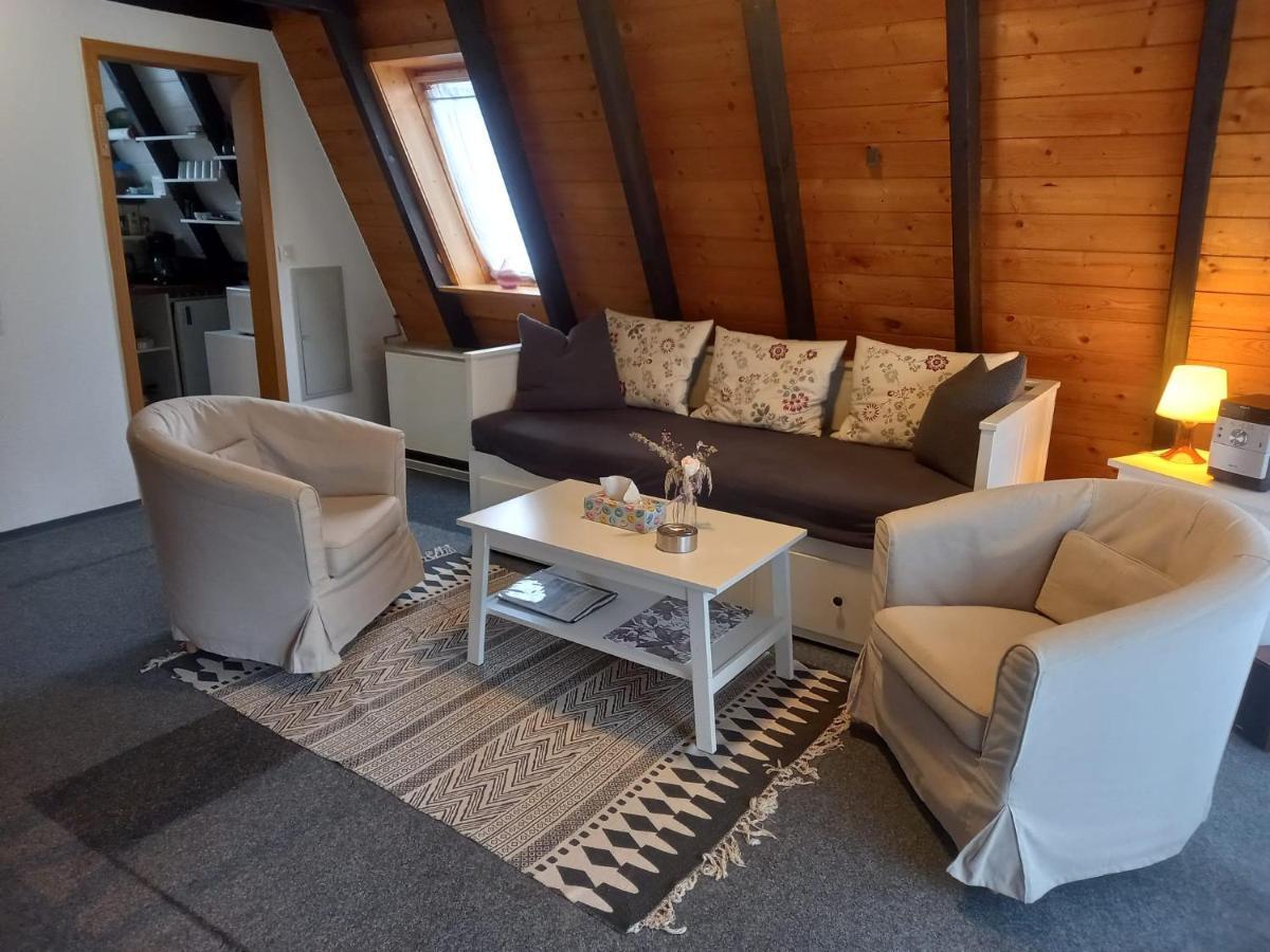 Gemuetliches Ferienhaus Mit Sonniger Terrasse Frankenwald Naehe Badesee Smart-Tv Lichtenberg  外观 照片